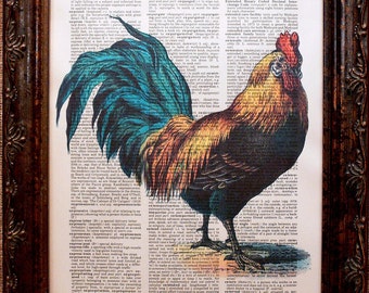 Rooster Art Print from 1890's on Dictionary Book Page