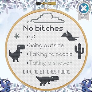 May include: A cross-stitch embroidery hoop with the text "No bitches" and the instructions "Try: Going outside, Talking to people, Taking a shower." Includes dinosaur and cactus graphics. The text "ERR_NO_BITCHES_FOUND" is also included.
