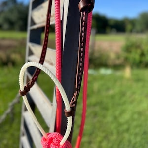 May include: A horse halter featuring bright neon pink braided rope and dark brown leather accents. The design includes a white rope loop secured with a knot, brown leather straps with visible stitching, and a leather knot detail at the top.