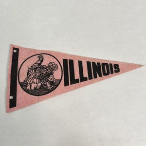 May include: A triangular pink felt pennant featuring a black vertical strip with two grommet holes on the left side. The design includes a circular black graphic of a cornucopia filled with fruits and vegetables, followed by the text ILLINOIS.