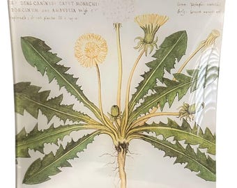 Dandelion Glass Decorative Plate