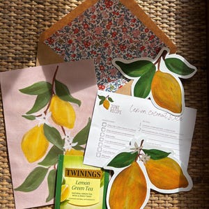 the petal post : snail mail/print club subscription