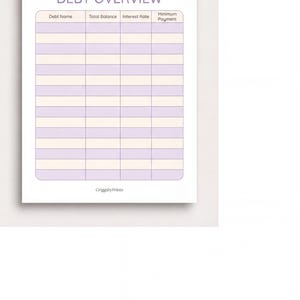 The image is a Debt Overview form with a blank space for the user to fill in the details of their debt, including the Debt Name, Total Balance, Interest Rate, and Monthly Payment.
