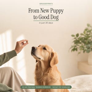 a golden retriever dog sitting on a bed, with a person's hand holding out a treat for the dog. The background includes a plant and a window, creating a cozy and homey atmosphere.