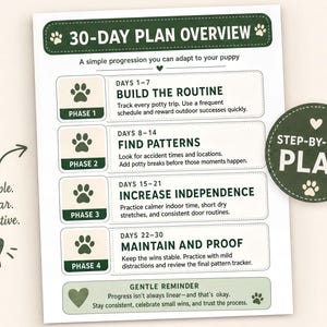 The image is a 30-day plan overview for a puppy, providing a step-by-step guide on how to train a puppy to follow a routine.