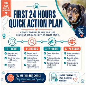 a dog's first 24 hours of quick action plan