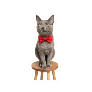 May include: A gray cat wearing a red bow tie, sitting on a small wooden stool. The cat has yellow eyes and a slightly mischievous expression. The stool has three legs and a round top. The background is white.