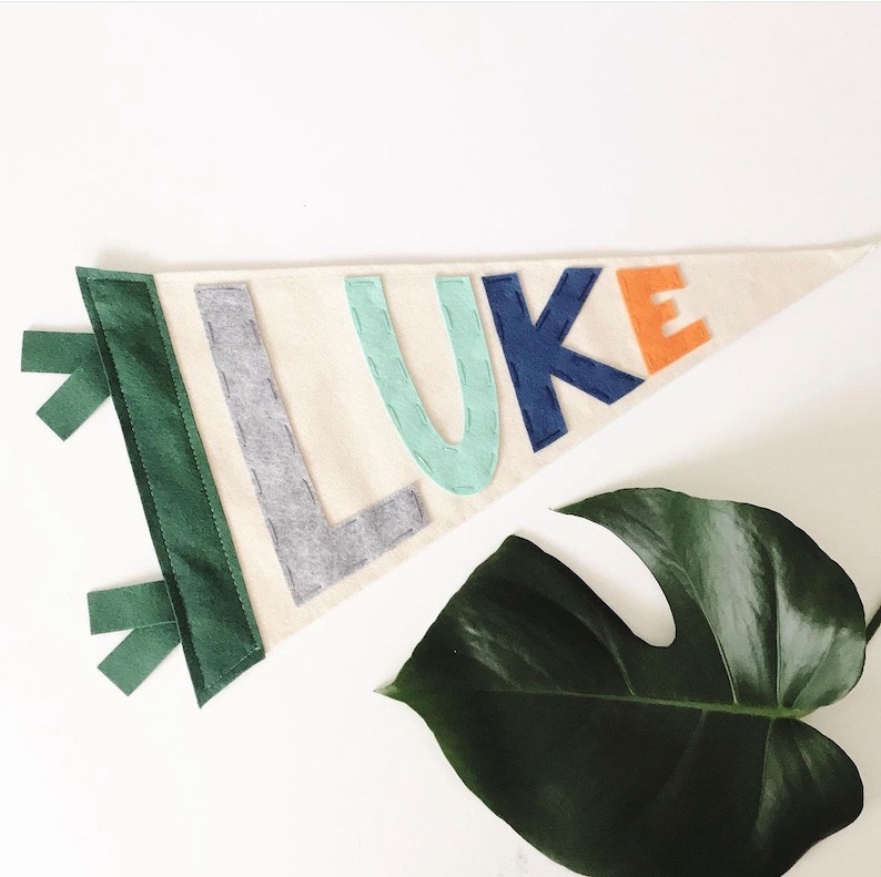 Custom Name Pennant flag Canvas Flag Personalized Flag Pennant Name Banner Monthly Photo Newborn Gift Kids Room or Nursery image 7