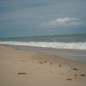 May include: A serene beach scene with a sandy shore meeting the ocean under a cloudy sky. Waves are crashing onto the beach, and the sand is dotted with small patches of seaweed. The water is a mix of blue and green.