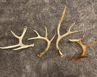 Bois de cerf de Virginie et de cerf mulet, qualité artisanale, décoration d'intérieur, produits à mâcher pour chien