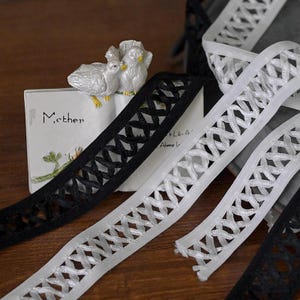 10 Meter 2,5 cm 0,98 "breites schwarzes / Elfenbeinfarbenes elastisches Spitzenbesatz Band Zubehör handgefertigtes Kleid dekorative Materialien N20T832P250228U