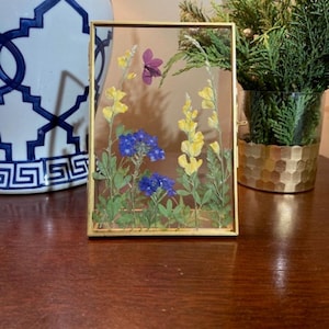 Pressed Real Dried Flowers and Foliage in Brass Double Glass Floating Frame