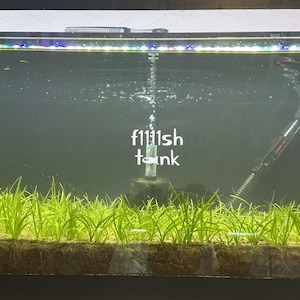 May include: An aquarium with green aquatic plants in the foreground. The words "fish tank" are written in white in the center of the tank. A heater and an air pump are visible inside the tank, and a light is mounted above.