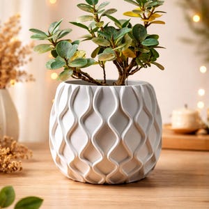 Puede incluir: Una maceta de cerámica blanca con un diseño ondulado texturizado, que contiene una pequeña planta verde. La planta tiene hojas verdes pequeñas y redondas. El fondo presenta una iluminación suave y efectos bokeh.
