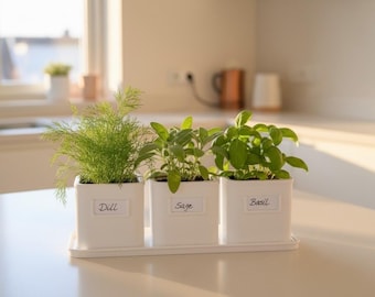 Herb Plant Pot and Tray Set