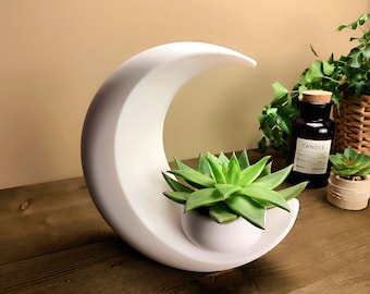 Crescent Moon Planter | Modern Moon Plant Pot