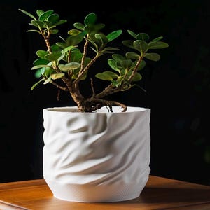 May include: A white, textured ceramic planter with a small bonsai tree. The planter has a unique, wavy design. The bonsai has a brown trunk and branches with small green leaves. The background is dark.