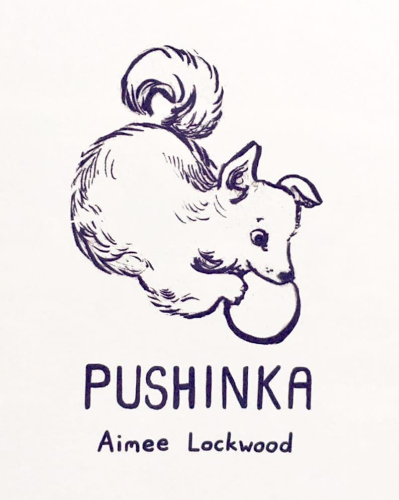 Pushinka Comic A Cold War Era Dog Romance image 3