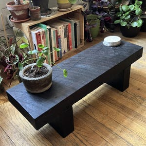 May include: A black wooden bench with a rectangular top and two supporting legs. A small potted plant with green leaves sits on the bench. A small, round, white object is on the bench. Bookshelves and plants are in the background.
