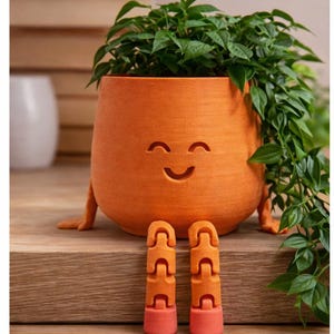 3D Printed Smiley Plant Pot with Dangling Legs |  Desk Planter | Fun Home & Office Decor