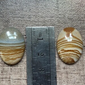 Puede incluir: Dos piedras preciosas ovaladas pulidas, con una regla para la escala. Las piedras miden aproximadamente 2,5 cm de largo. Una es gris claro y marr&oacute;n con bandas horizontales. La otra es marr&oacute;n y crema con bandas similares. Las piedras son brillantes.