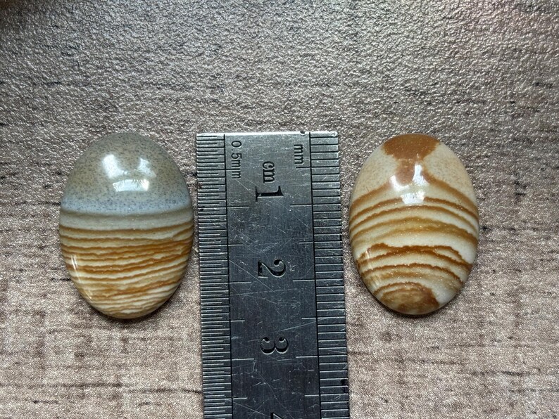 Puede incluir: Dos piedras preciosas ovaladas pulidas, con una regla para la escala. Las piedras miden aproximadamente 2,5 cm de largo. Una es gris claro y marr&oacute;n con bandas horizontales. La otra es marr&oacute;n y crema con bandas similares. Las piedras son brillantes.