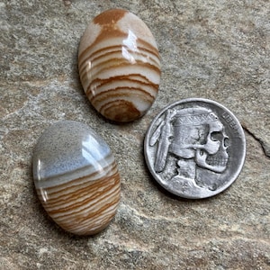 Puede incluir: Dos piedras preciosas ovaladas pulidas con patrones de bandas en tonos marr&oacute;n, beige y blanco. Una moneda de plata con un perfil nativo americano est&aacute; junto a las piedras. Las piedras est&aacute;n sobre una superficie gris texturizada.