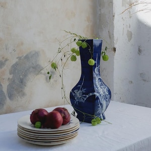 Può includere: Un alto vaso in ceramica blu scuro di forma quadrata con motivi floreali bianchi, contenente sottili steli verdi con piccoli baccelli rotondi. Accanto al vaso c'è una pila di piatti in ceramica bianca sormontata da tre cipolle rosse intere.