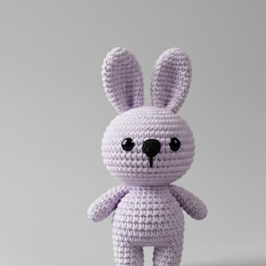 May include: A handmade lavender crochet bunny with black eyes and a black nose. The bunny has long ears and small arms and legs. The toy is made of soft yarn and is a cute, cuddly item.