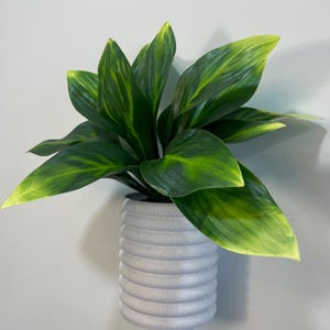 May include: A potted plant with large, green leaves and yellow tips. The plant is in a light grey, ribbed ceramic pot. The leaves have a prominent vein pattern. The pot is mounted on a light grey wall.
