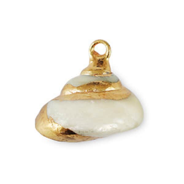 Pendentif coquillage véritable coquillage Escargot Blanc perle-doré  17~20 mm