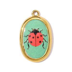 May include: Gold-toned oval pendant featuring a red ladybug with black spots and a black head on a light green background. The ladybug charm has a loop at the top for attaching to a chain or bracelet.