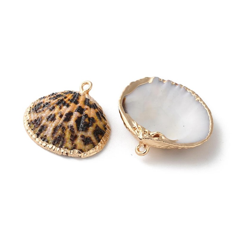 May include: Two gold-toned shell charms, one with a natural brown and black shell pattern and the other with a white interior. Both shells have a gold loop for attaching to jewelry.