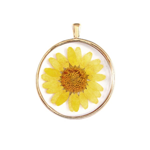 Pendentif fleur séchées 35 mm Pendentif en résine avec fleur séchée et bordure dorée  - Unité