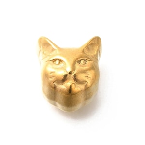 Könnte beinhalten: Ein goldfarbener Katzenkopf-Anhänger aus Metall mit detailliertem Gesicht und Schnurrhaaren.