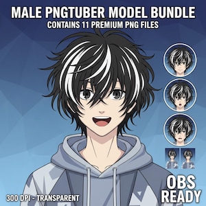 Può includere: Pacchetto di arte digitale con un modello PNGTuber maschile con capelli neri e bianchi, che indossa una felpa con cappuccio grigia. L'immagine include più espressioni e il testo "MALE PNGTUBER MODEL BUNDLE" e "CONTAINS 11 PREMIUM PNG FILES".