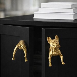 Op de afbeelding: Zwarte kast met goudkleurige honden-vormige lade-knoppen. Eén knop is de achterkant van een hond, de andere is een volledig hondenfiguur. Drie witte boeken zijn bovenop de kast gestapeld.