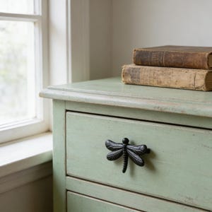 May include: A pale green painted wooden chest of drawers with a black dragonfly drawer pull. Two antique books are on top. The chest is near a white window.