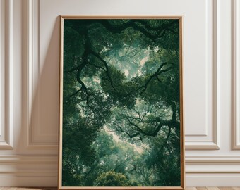 Póster de dosel forestal, arte de pared con techo de árbol verde, ilustración vintage de naturaleza boscosa, arte de pared de dosel forestal, impresión de exuberante vegetación