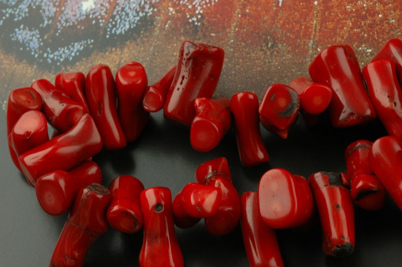Luscious Red Organic Coral Branch Beads / Approx. 10x40mm / - Etsy