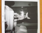 Chihuahua Surprise... Vintage Photo... 1960's Snapshot Photograph