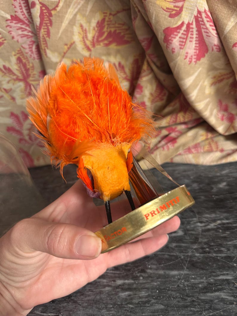 Puede incluir: Una figura decorativa de p&aacute;jaro cubierta de plumas de color naranja brillante con un pico negro puntiagudo. El p&aacute;jaro est&aacute; unido a una base circular de metal dorado que presenta el texto rojo "PRIMITIVE" y "X FACTOR" impreso en el borde exterior.