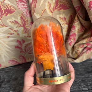 Puede incluir: Una c&uacute;pula de cristal transparente que contiene una figura de p&aacute;jaro de plumas de color naranja brillante con patas negras finas. La base de la c&uacute;pula presenta un borde de metal dorado con el texto PRIMITIF impreso en rojo y otros textos visibles.