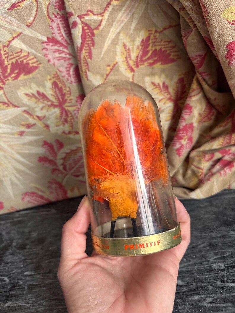Puede incluir: Una c&uacute;pula de cristal transparente que contiene una figura de p&aacute;jaro de plumas de color naranja brillante con patas negras finas. La base de la c&uacute;pula presenta un borde de metal dorado con el texto PRIMITIF impreso en rojo y otros textos visibles.