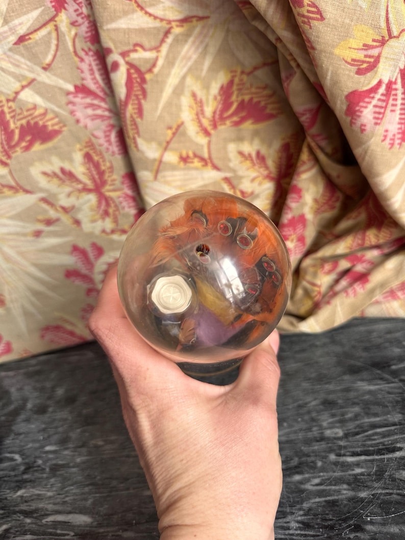 Puede incluir: Un pisapapeles esf&eacute;rico de cristal transparente que contiene una peque&ntilde;a criatura naranja y negra con ojos visibles y un componente blanco en forma de perno hexagonal incrustado en el centro de la estructura del orbe.