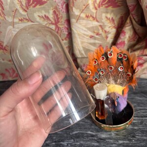 Puede incluir: Una c&uacute;pula de cristal transparente junto a un set de perfume Max Factor que incluye un peque&ntilde;o frasco de vidrio marr&oacute;n y una figura decorativa de ave con plumas naranjas y detalles circulares rojos, sobre una base met&aacute;lica dorada.