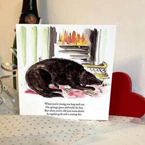 KD4 Katzndogz;oud;hond;haard; huisdieren; collega; trouw huisdier; bedankt; aquareltekening; vierkant; humor; bedel;grappig;verjaardag