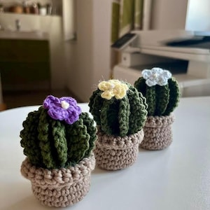 Può includere: Tre piante di cactus all'uncinetto fatte a mano in piccoli vasi marroni. Ogni cactus è verde scuro con un fiore di colore diverso sopra: viola, giallo e azzurro. I cactus sono disposti in fila su una superficie bianca.