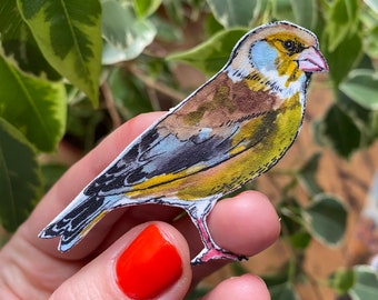 Greenfinch bird brooch