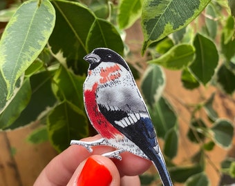 Bullfinch brooch